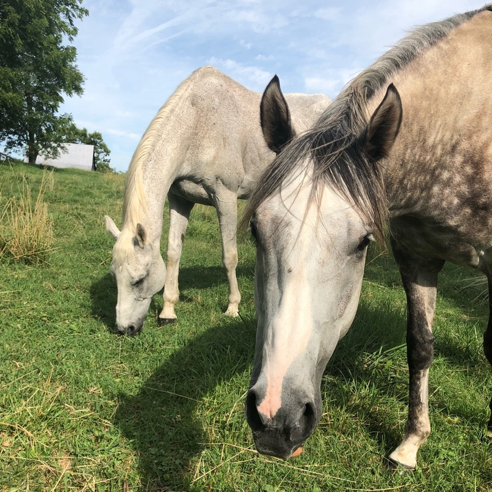 Meet your Posher, Danielle